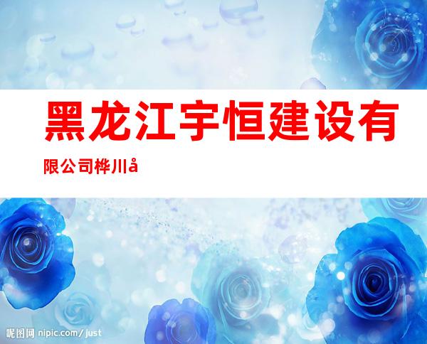 黑龙江宇恒建设有限公司桦川分公司